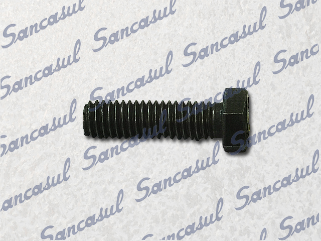 MAING BEARING SCREW (LONG)