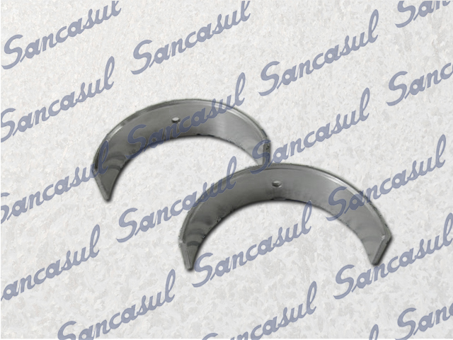 HALF SECTION BEARING 0,5 SMC65