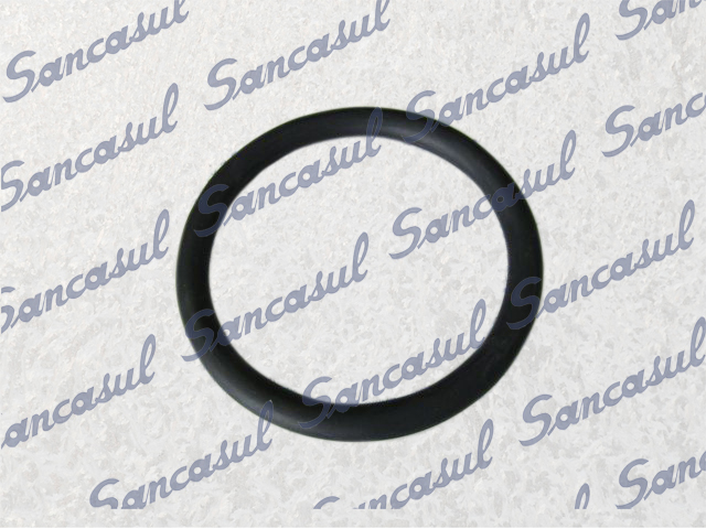 O'RING MINOR FOR SHAFT SEAL SMC100