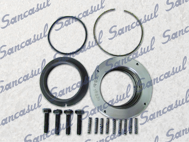 SHAFT SEAL FOR T/SMC 100