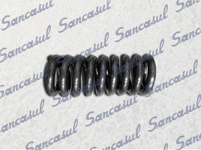 VALVE SPRING - 19/24BAR - DIAMETER.25